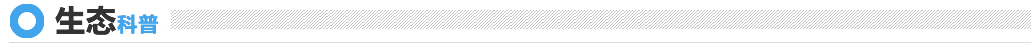 生态科普