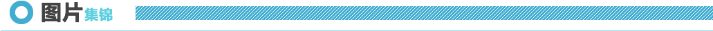 图片集锦