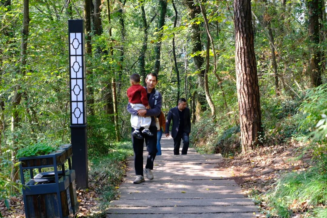 衢州古城国家5A级景区_烂柯世界围棋文化展馆与围棋周启动仪式在衢州举行_孔氏南宗家庙沉浸式体验