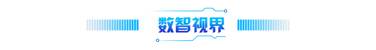 数智视界