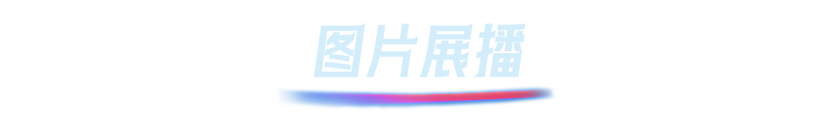 图片展播