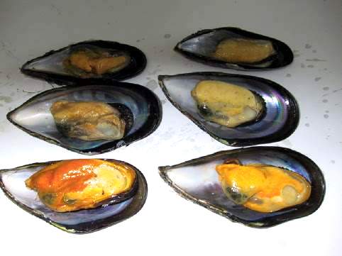 新华网浙江频道政府网群--嵊泗