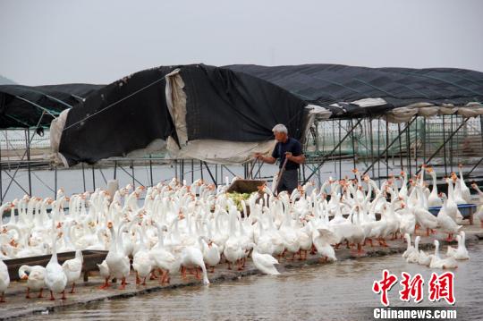 浙江象山大力发展家庭农场 创新农业生态循环