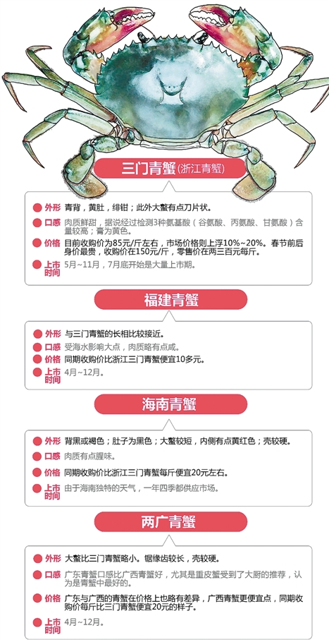 杭州人抢鲜尝青蟹 广东重皮蟹膏最香