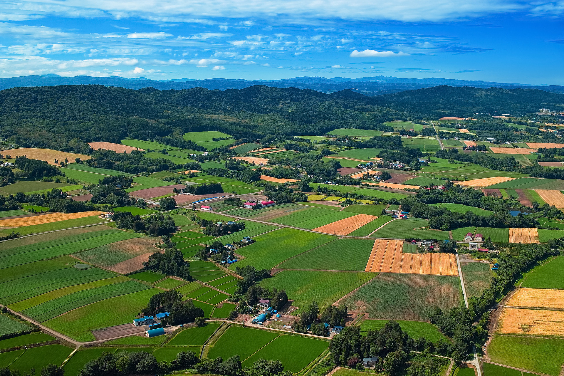 浙江:成为乡村振兴标兵背后……
