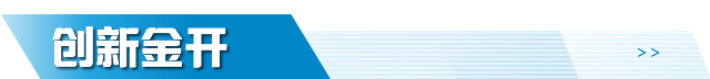 创新金开区