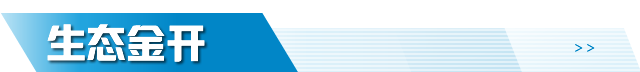 生态金开区