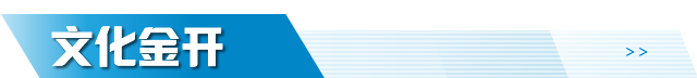 文化金开区