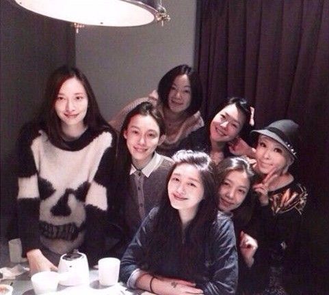 范玮琪与好<em>姐妹聚会</em> 大S、吴佩慈孕肚被遮住(