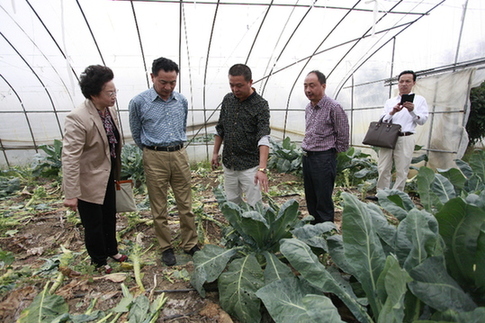 浙江电大农民大学生培养项目引起省政协委员关