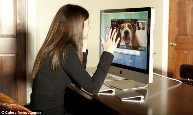 美国公司研发可视电话 主人可远程训练宠物