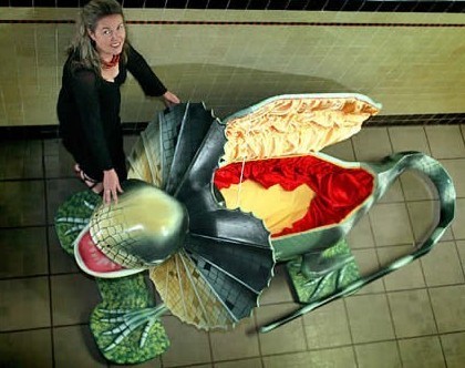 巡礼世界各地最稀奇古怪的棺材