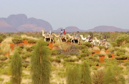 穿行在美景中 那些让你放慢脚步的火车旅行
