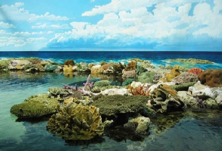 现在就出发!全球即将消失的十大美景