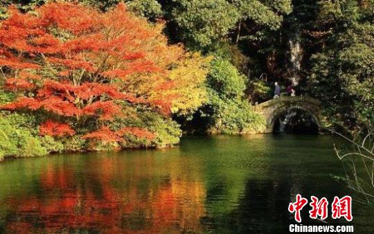 杭州十大赏秋处出榜 灵隐路杨公堤龙井路名列