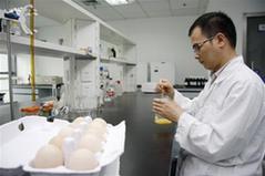 湖州：DHA营养鸡蛋