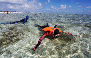 浙江省医疗器械检验院开展节前党风廉政建设专
