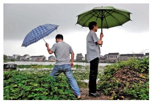 秀洲：镇村两级干部冒雨巡查 守护东荷村