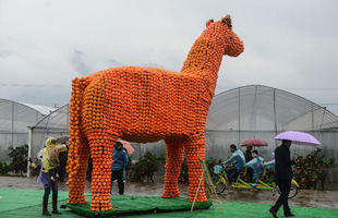 双十一知名白酒跌破出厂价 茅台从此走下神坛