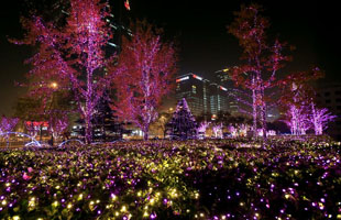 浙江临时下浮部分企业社会保险费缴费比例