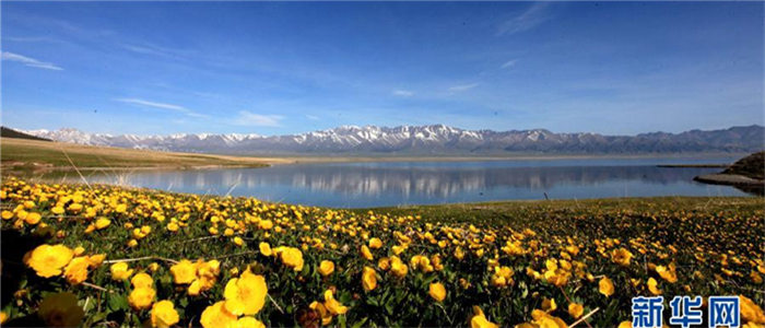 新疆赛里木湖春色如画