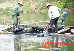 乾元镇又闻捻泥船摇橹声