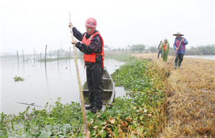 党员民兵雨中巡堤共筑安全“墙”