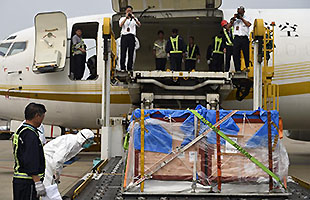 李易峰杨幂街头嬉笑打闹 勾肩搭背亲密自拍