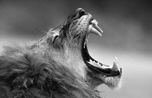 浙江临安村民手机拍摄山洪爆发视频画面