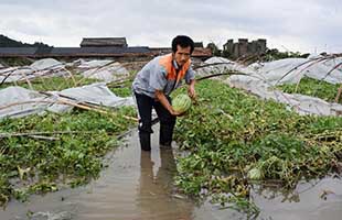 懒人 也是生产力 杭州O2O掘金 懒人 市场