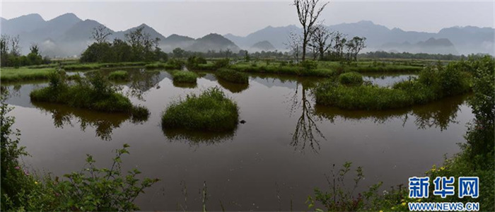 高山湿地大九湖风光