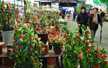 台北：买鲜花 迎新春