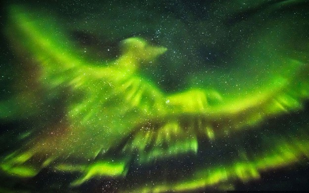 冰岛夜空现凤凰极光 如大鹏展翅蔚为壮观