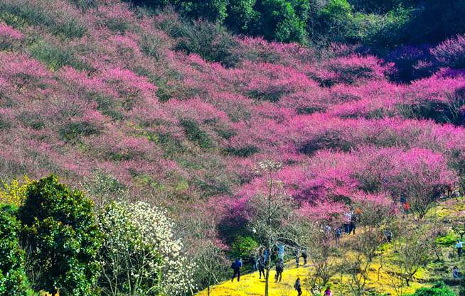 新华网 浙江频道
