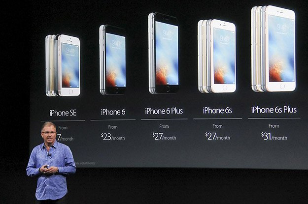 巫山惊现800岁金丝楠木 专家称此为三峡库区首