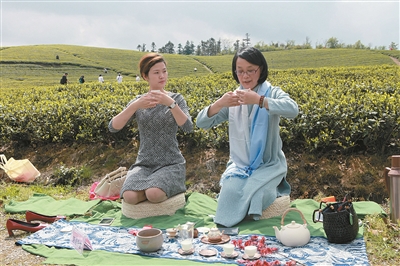 闻着茶香游大岚