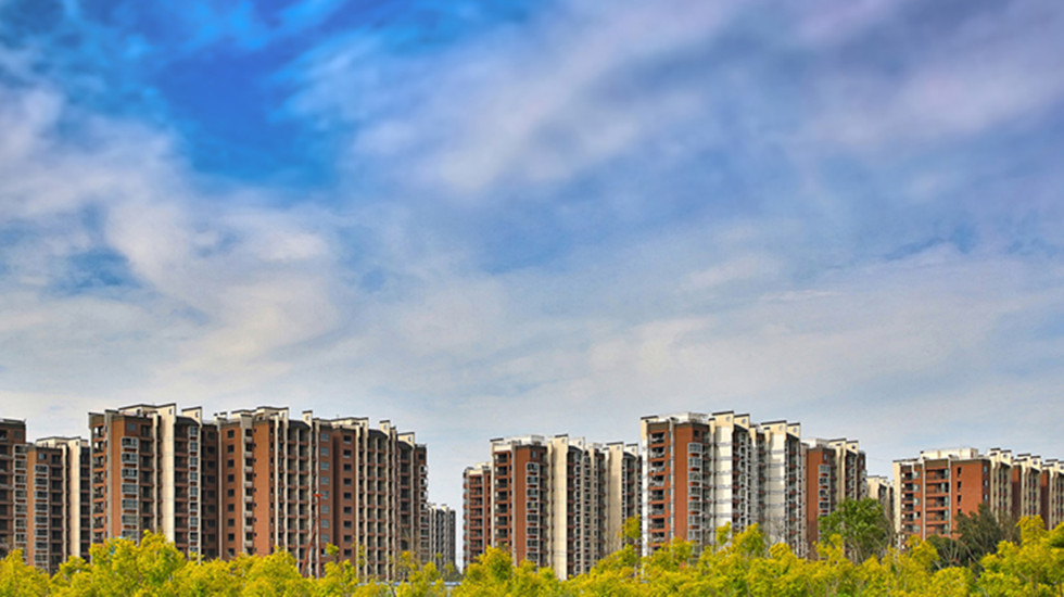 瓯江口新区一角