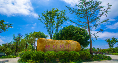 环境立区 塑造最美城区