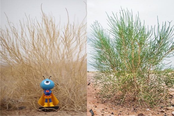 2017年度杭州最具影响力网络公益项目评选等您来投票