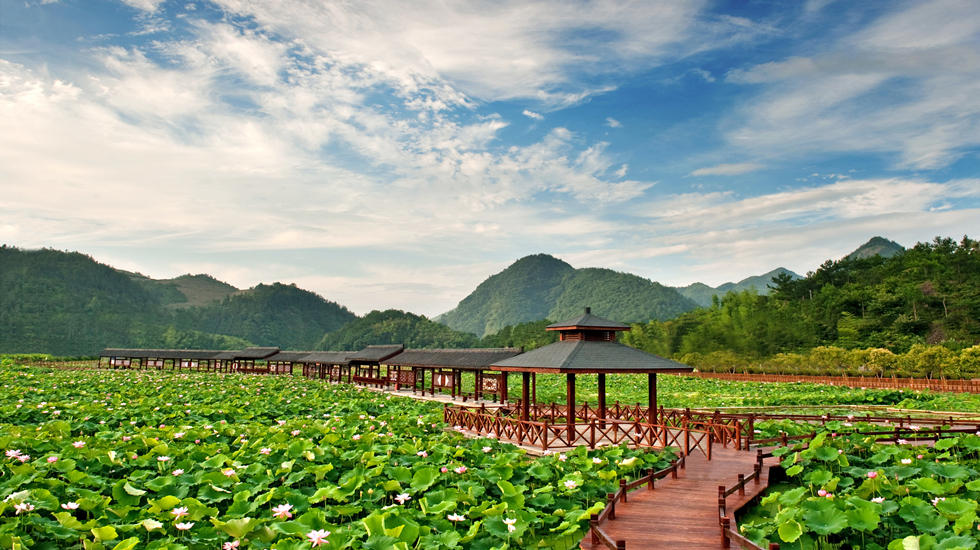 浙江莲都：坚定绿色发展之路