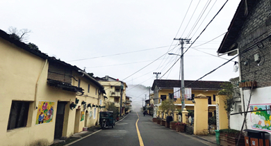 浙江龙泉：打好产业富农牌 精准扶贫促振兴