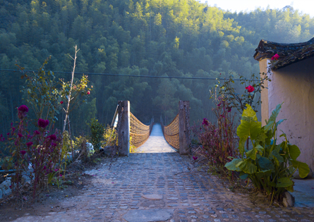 江浙之巅 剑瓷龙泉