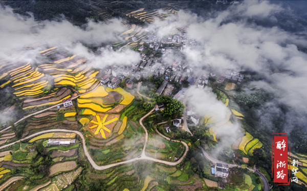 走遍天涯路，醉美在浙江