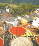 赴一场土特产与洋货混搭 的集市 首届奉化春节年货展等您来