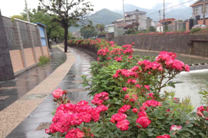 宁波北仑河头村