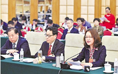 浙江代表团审议监察法草案