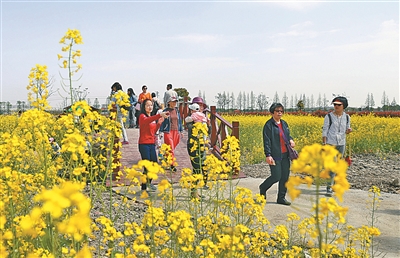 短途游持续发力催热江北旅游市场