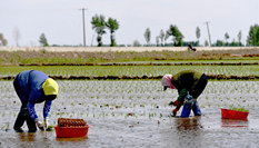 台州椒江区委组织部纵深破题 为最多跑一次按