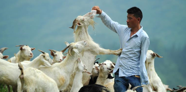 中国银行温州市分行:挖掘本土元素弘扬廉洁文