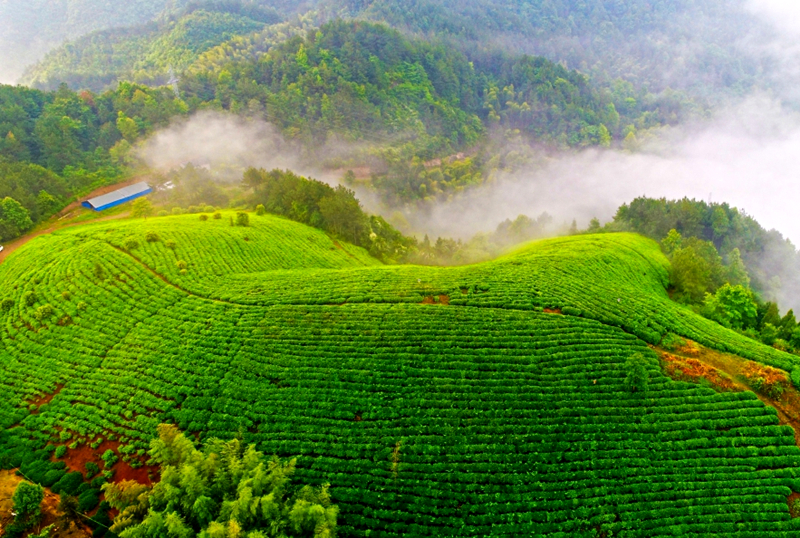 一本&ldquo;融合经&rdquo;